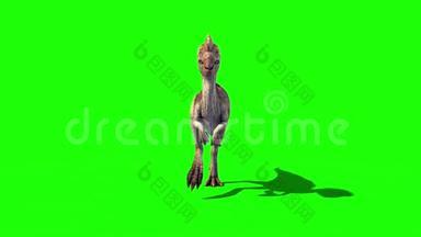 Oviraptor恐龙运行周期前绿屏侏罗纪世界三维渲染